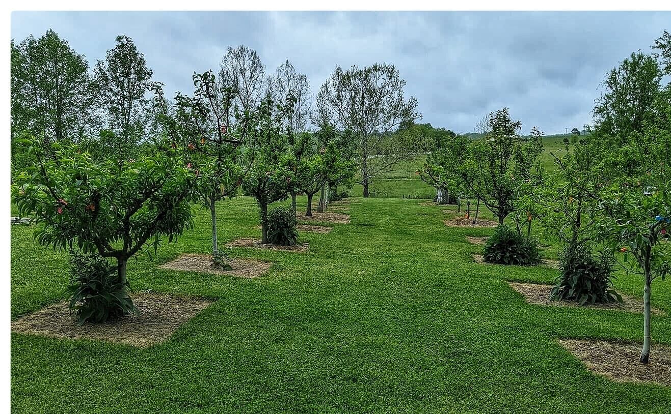 Structured Orchard Form