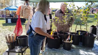 Wades Mill Apple Cider Day