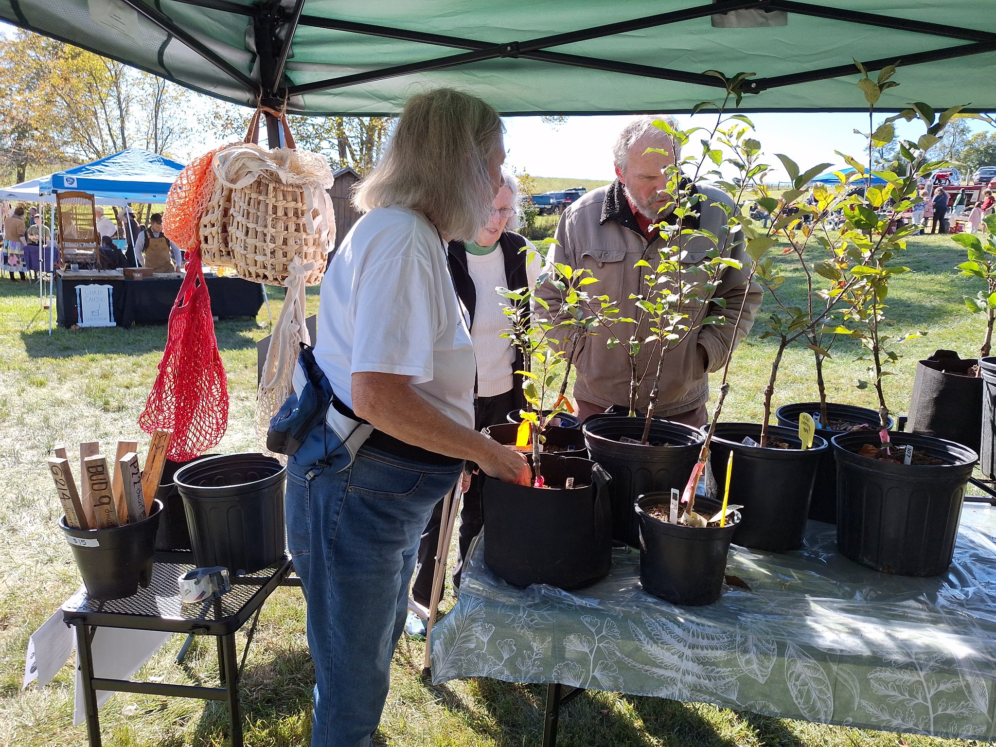 Wades Mill Apple Cider Day